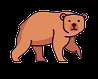 bear
